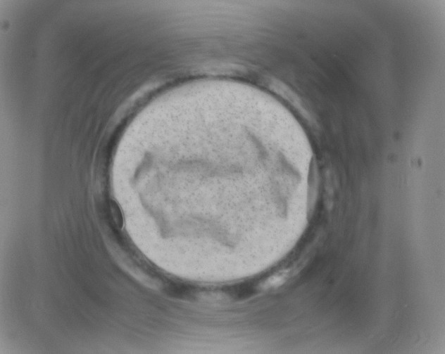 X0000082700203200702232239