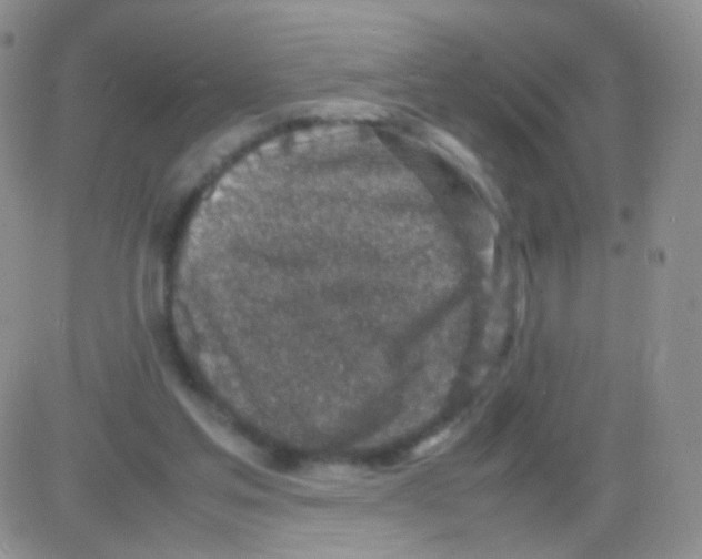 X0000082700205200702232239