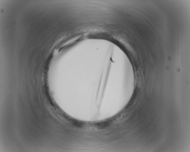 X0000082700207200702232239