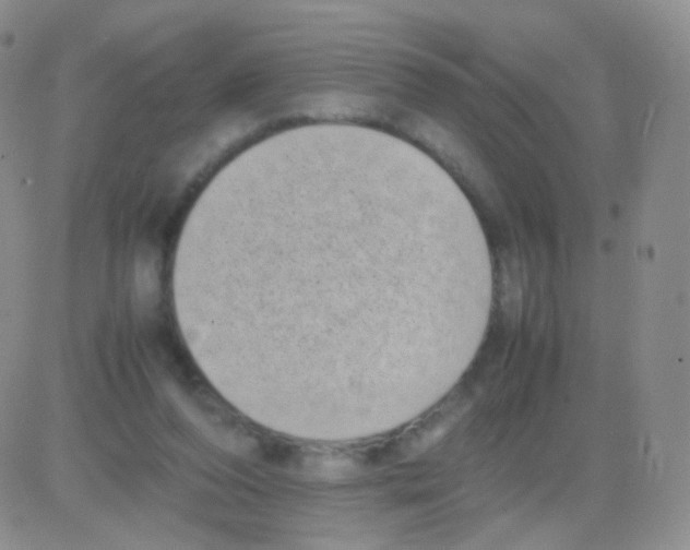 X0000082700208200702232239