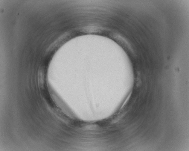 X0000082700210200702232239