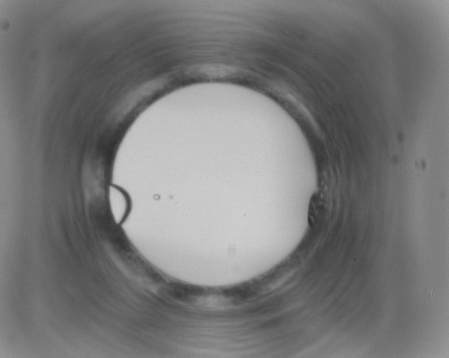 X0000082700212200702232239