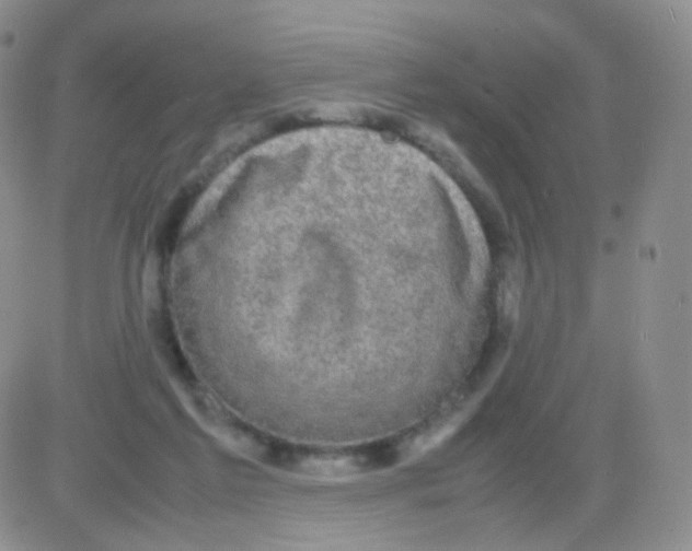 X0000082700213200702232239