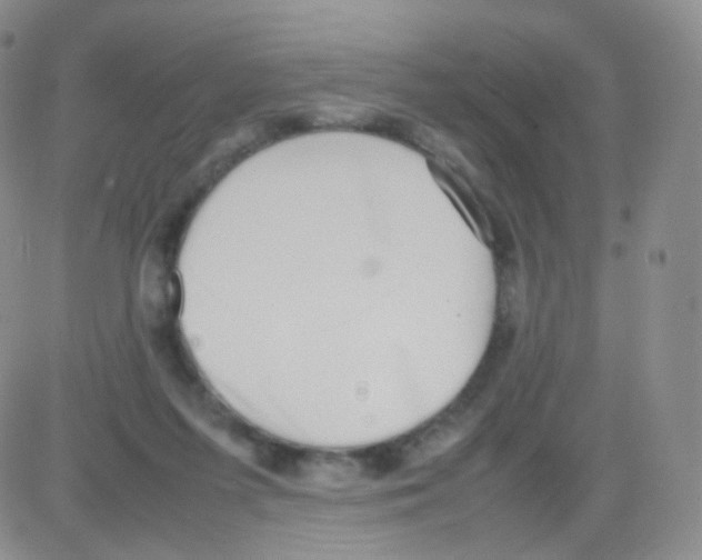 X0000082700215200702232238