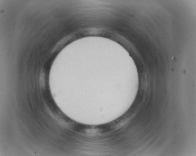 X0000082700216200702232238