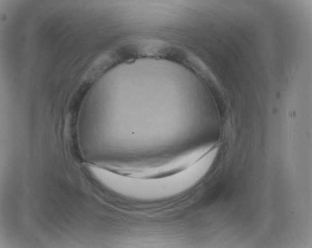 X0000082700217200702232238