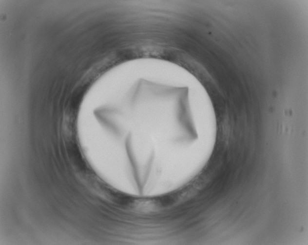 X0000082700218200702232238