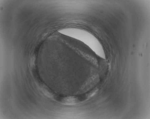 X0000082700219200702232238