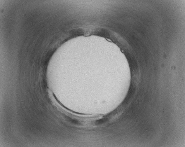 X0000082700221200702232238