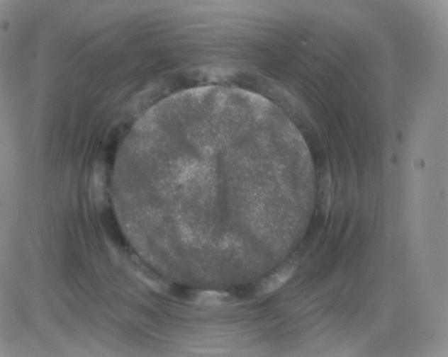 X0000082700222200702232238