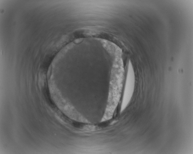 X0000082700227200702232238