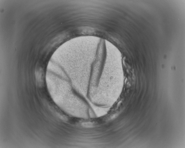 X0000082700228200702232238