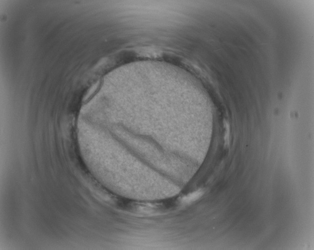 X0000082700229200702232238