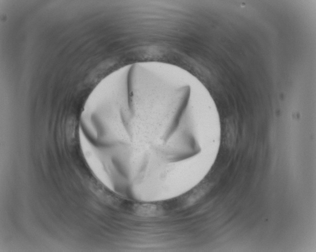 X0000082700230200702232238