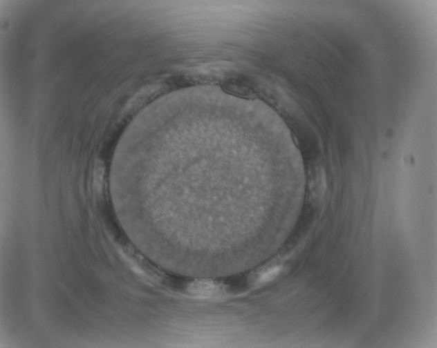 X0000082700231200702232238