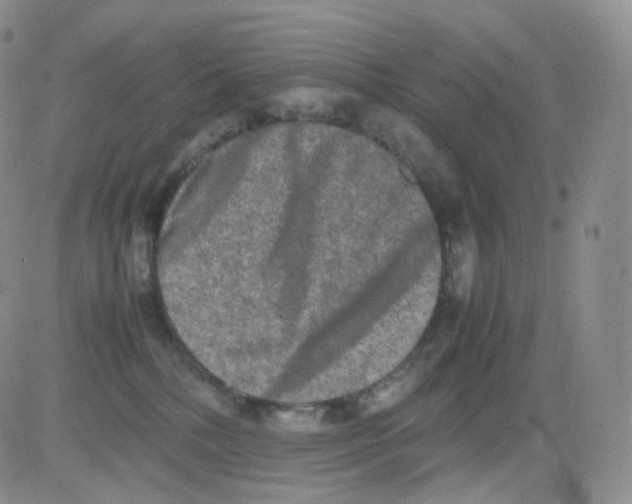 X0000082700232200702232238