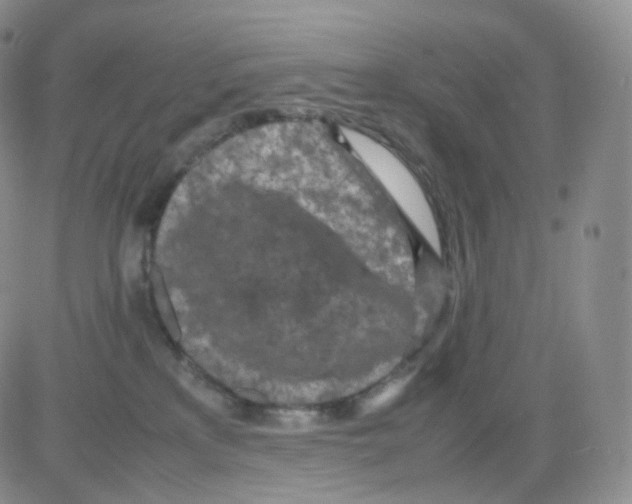 X0000082700233200702232238