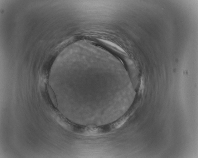 X0000082700235200702232238