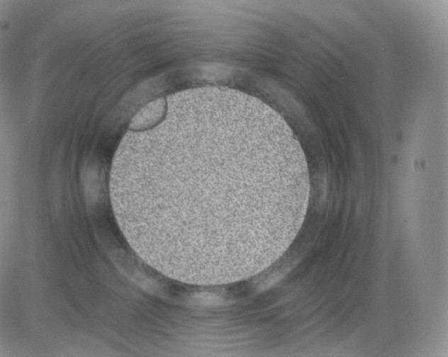 X0000082700236200702232238