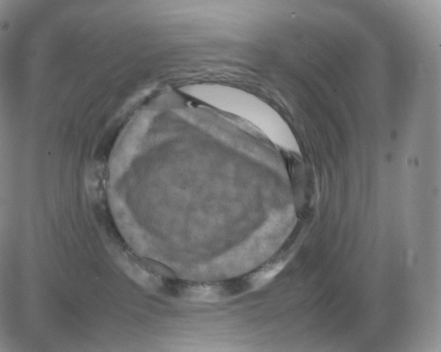 X0000082700237200702232238