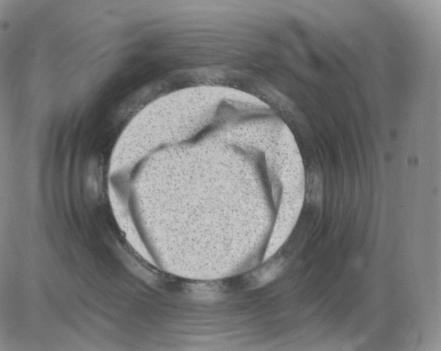 X0000082700238200702232238