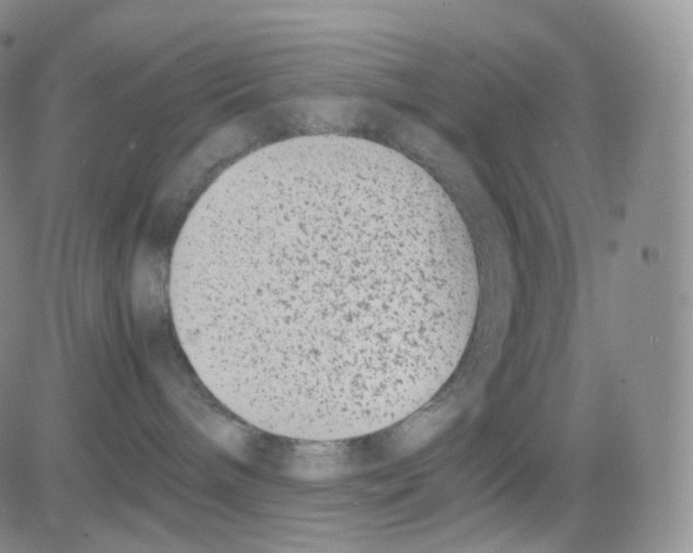 X0000082700240200702232238