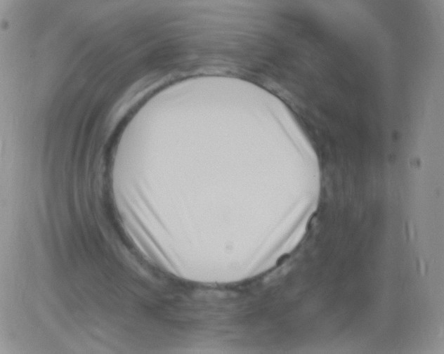 X0000082700242200702232237