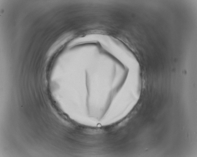 X0000082700245200702232237