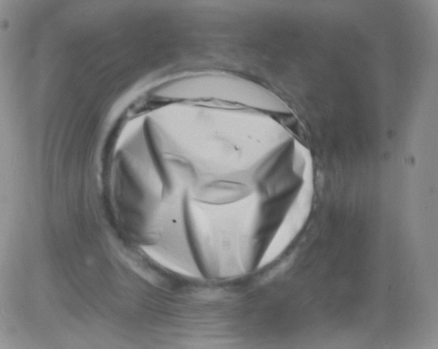 X0000082700246200702232237