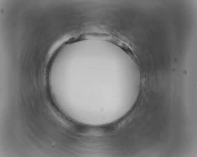 X0000082700248200702232237