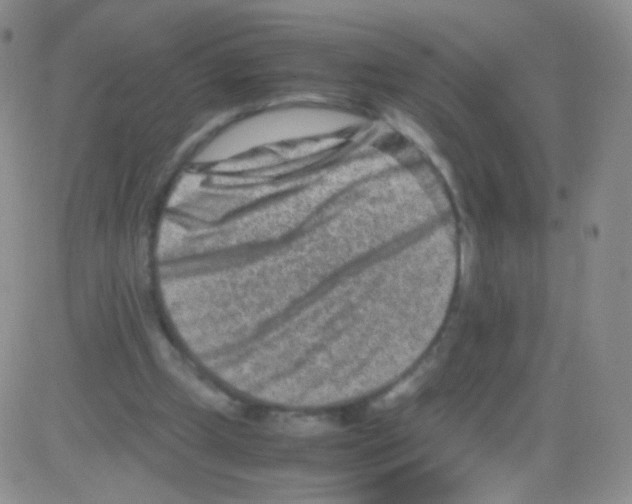 X0000082700249200702232237