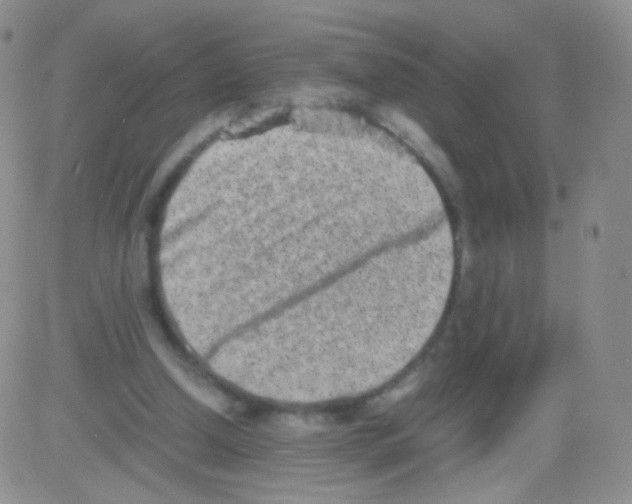 X0000082700250200702232237