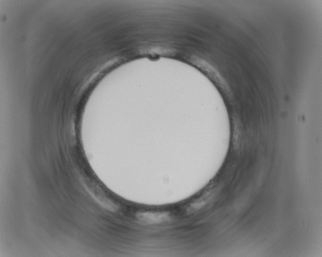 X0000082700251200702232237