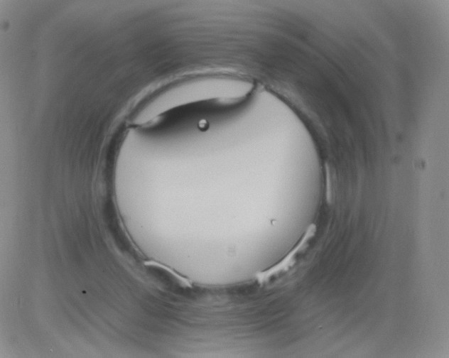 X0000082700252200702232237