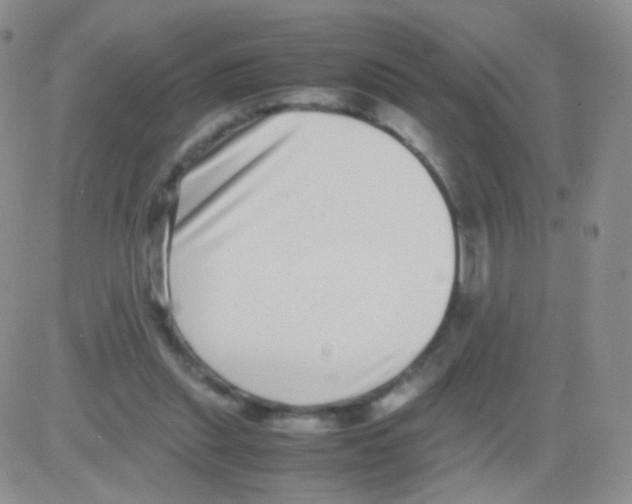 X0000082700253200702232237