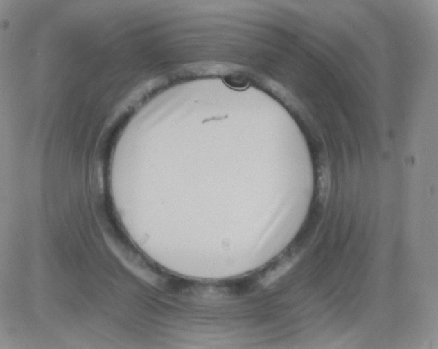 X0000082700254200702232237