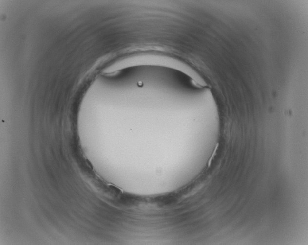 X0000082700256200702232238