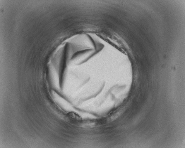 X0000082700257200702232238