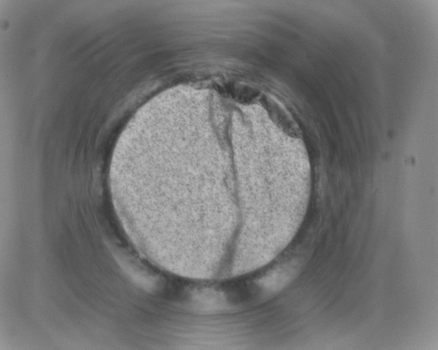 X0000082700258200702232238