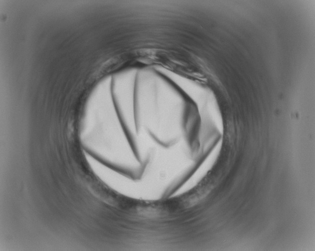 X0000082700259200702232238