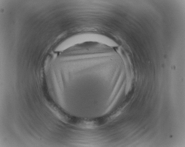 X0000082700260200702232238