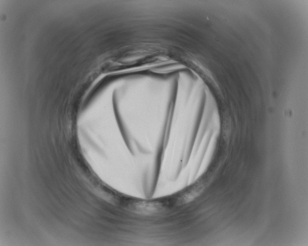 X0000082700261200702232238