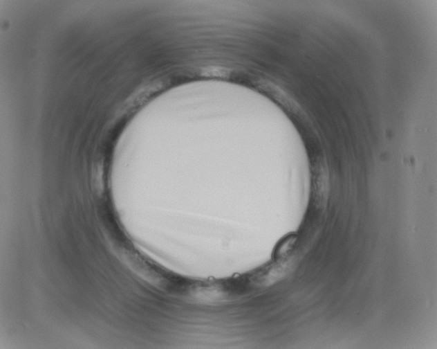 X0000082700262200702232238