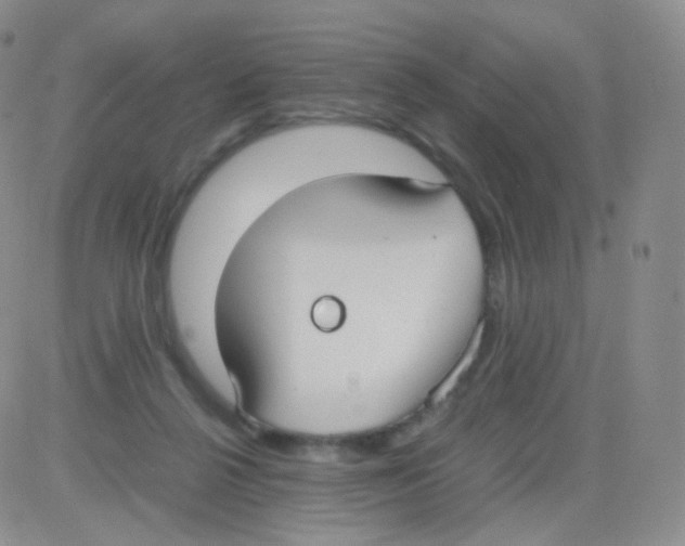 X0000082700264200702232238