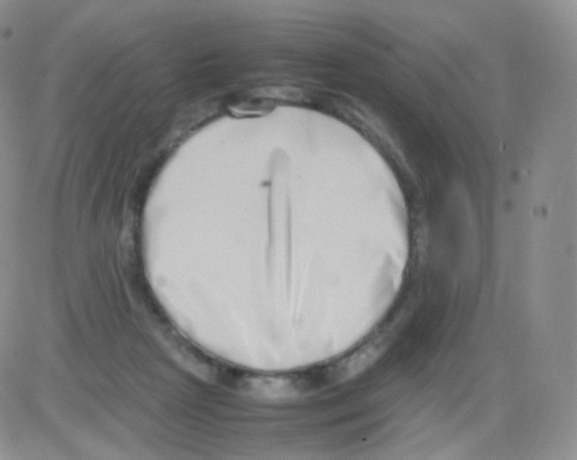 X0000082700265200702232238