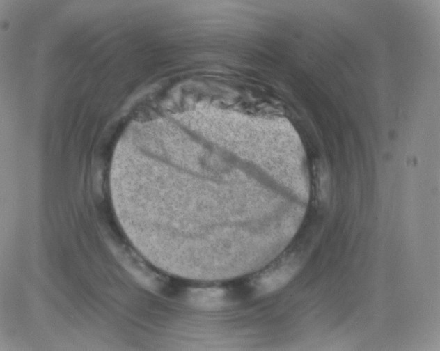 X0000082700266200702232238