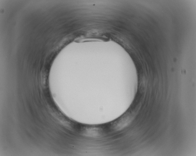 X0000082700268200702232238