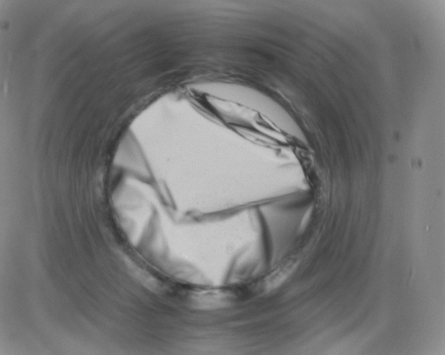 X0000082700269200702232238