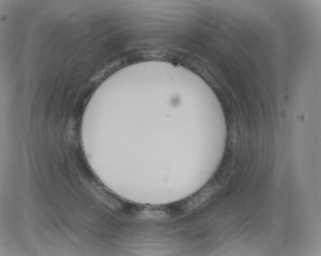 X0000082700270200702232238