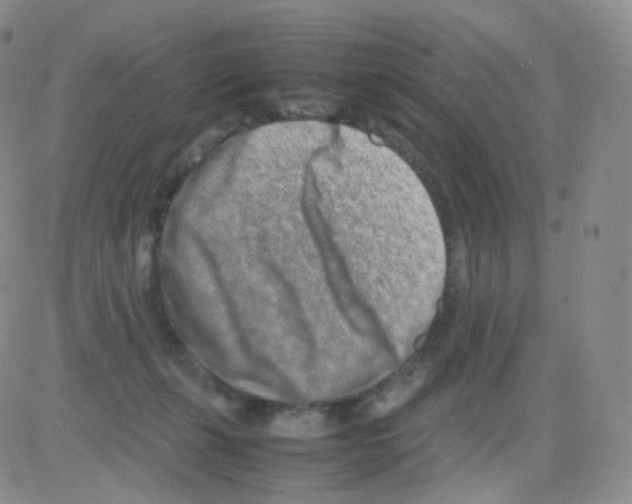 X0000082700271200702232238